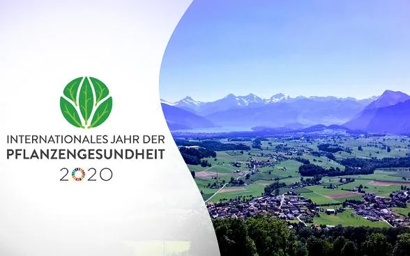 be0eb36a607abc5809a1f677ca6d8e084984bb85 2020 wird die Pflanzengesundheit zum Thema: es ist das Internationale Jahr der Pflanzengesundheit. (Bild BLW)