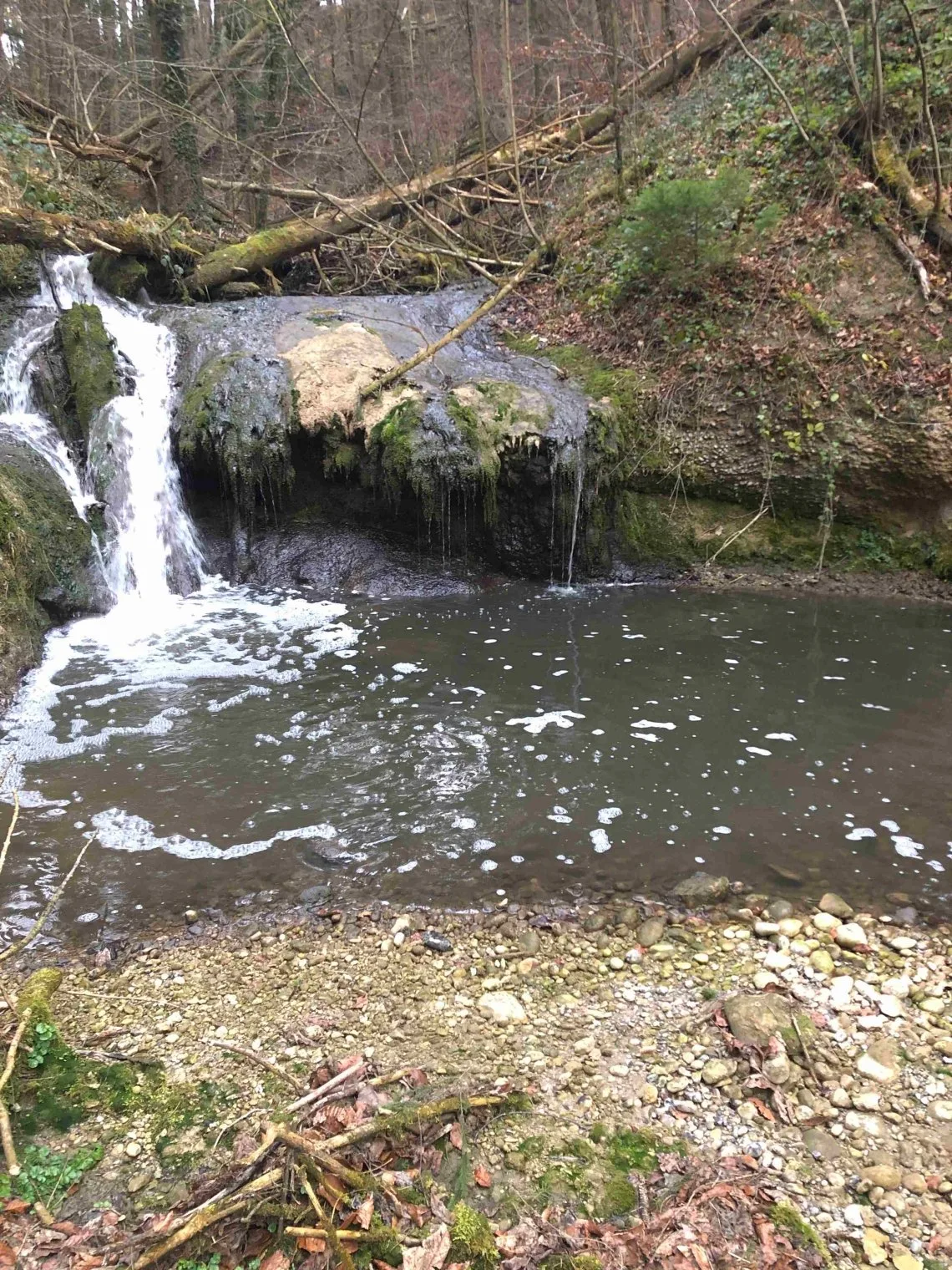 44c2d29075afe54f5c13fdb2361a9bce7e2f0310 Für die Fische in der Glatt bestehe keine Gefahr. (Bild Kantonspolizei St. Gallen)