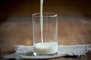 Werden Überschüsse aus Europa nach Afrika exportiert, leiden darunter die afrikanischen Milchbauern. Daher organisiert BIG-M eine Demonstration in Brüssel. (Bild Pixabay)