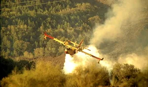 Die Brände in Australien setzen den Bauern hart zu. (Bild weidner/agrar-press)