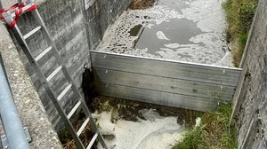 Dank der von den Einsatzkräften errichteten Sperre konnte verhindert werden, dass Jauche auch der Untersee gelangte. (Bild Kapo TG)