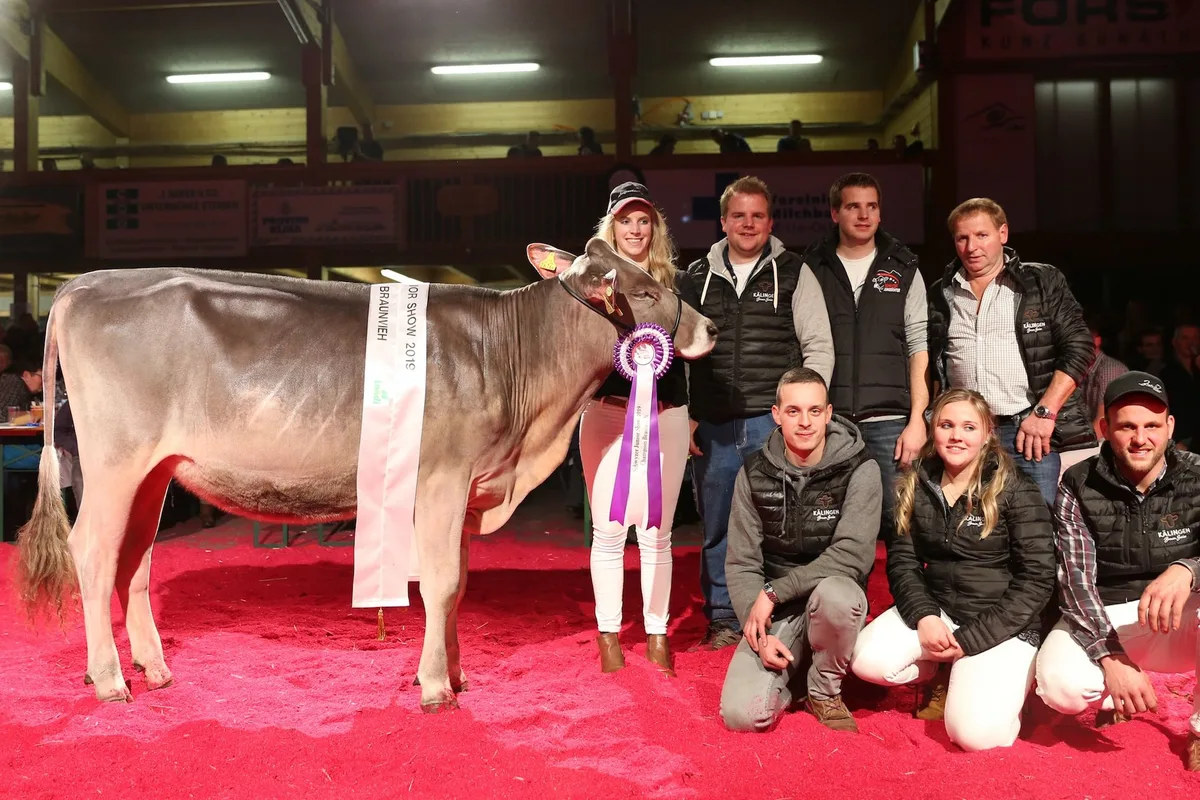 cbf5693446ad6d3df09d7f39f985cf0ec5461385 Die Züchterfamilie Paul Kälin, Steinen mit der Braunvieh Rinderchampion Calvin Chanel. (Bild reb)