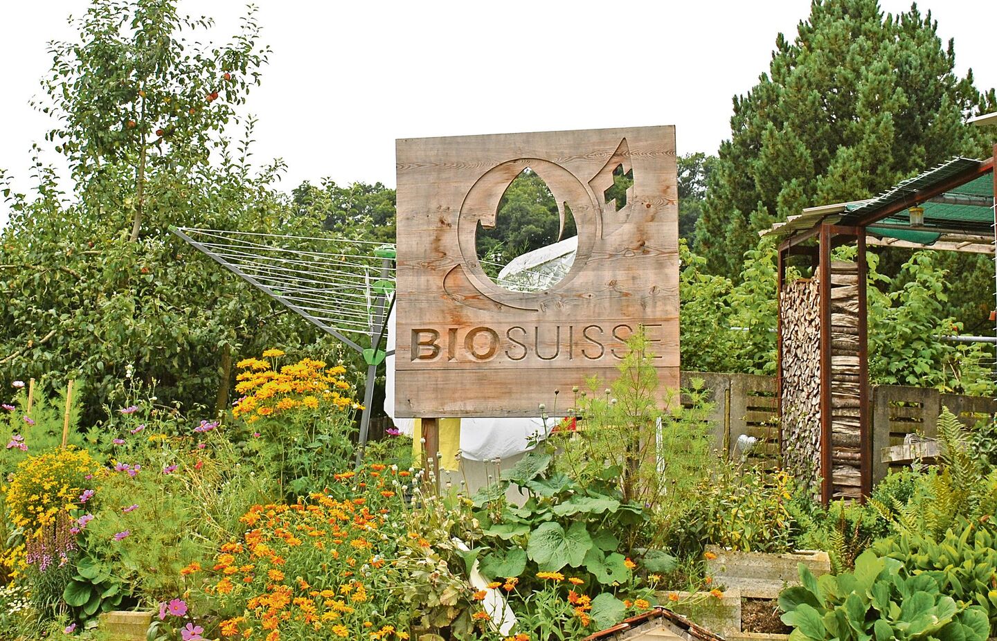 Biobäuerinnen und Biobauern machen bereits viel fürs Klima, dies müsse Bio Suisse besser kommunizieren, finden die Mitglieder von Bio Ostschweiz.