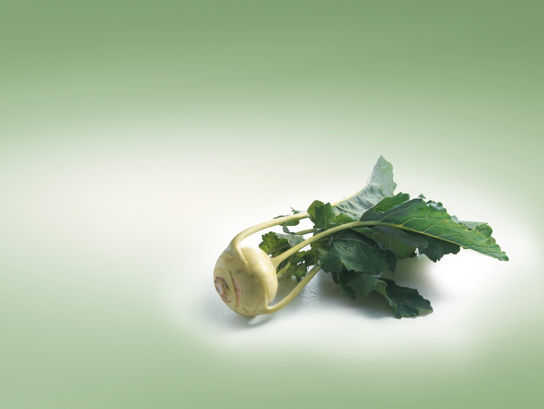 Kohlrabi ist kalorienarm und hat einen hohen Gehalt an den Vitaminen C und B. (Bild: VSGP)