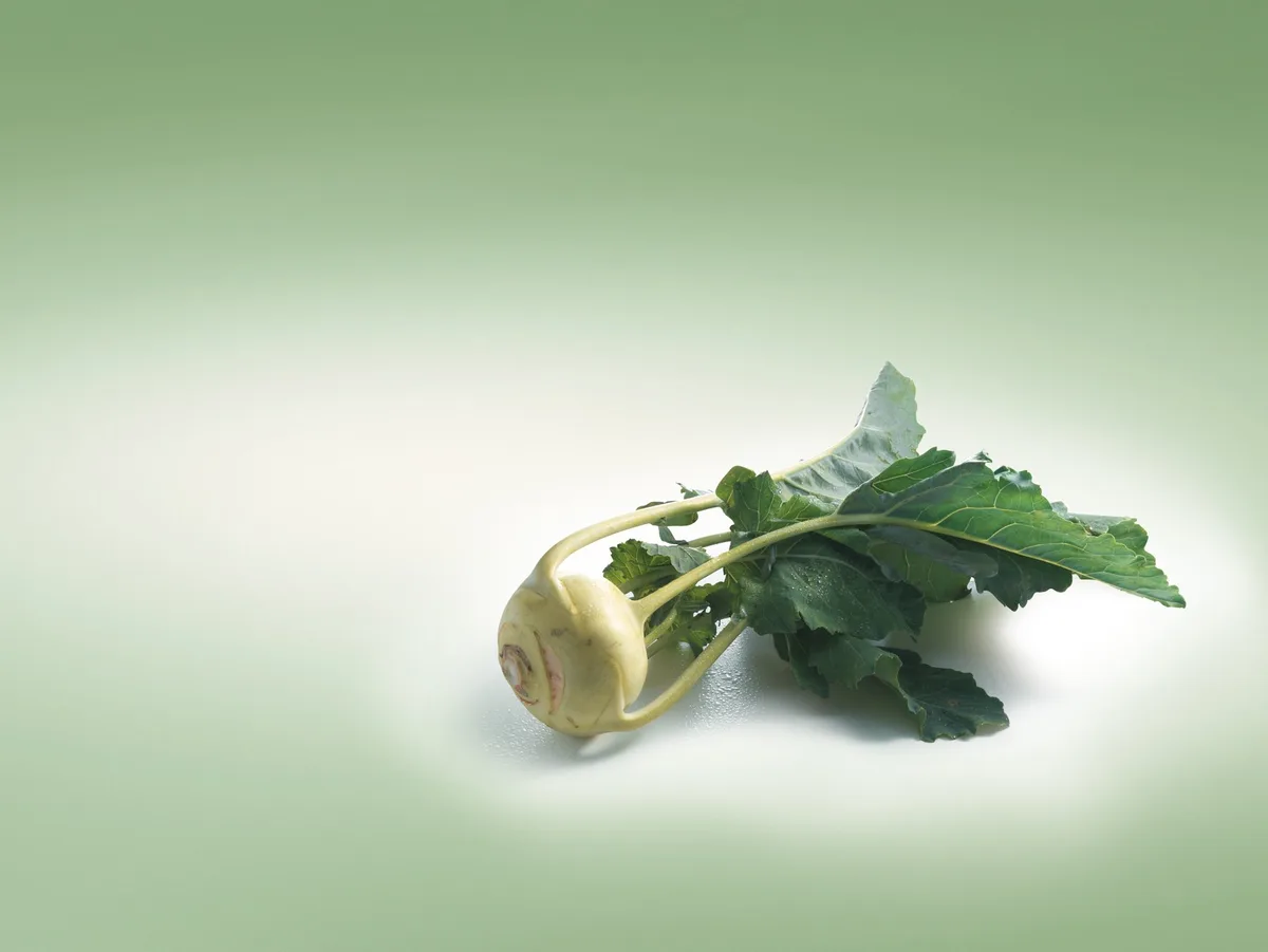 e71e9fdc9541b3f1f2f487d6cec95e7e4200fbf1 Kohlrabi ist kalorienarm und hat einen hohen Gehalt an den Vitaminen C und B. (Bild: VSGP)