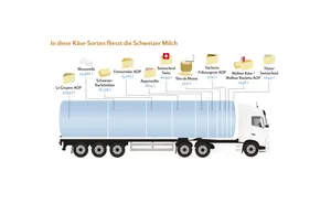 In diese Käse-Sorten fliesst die Schweizer Milch.