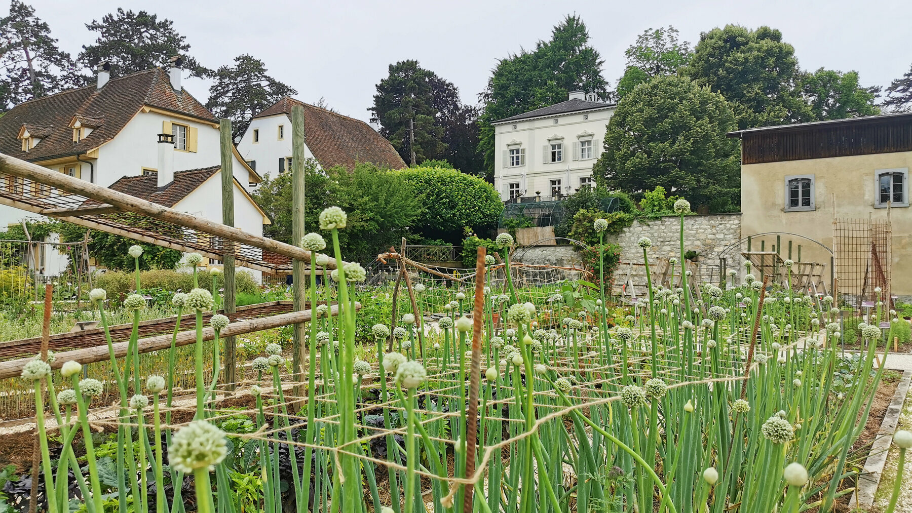Der Hauptsitz der Stiftung am Stadtrand von Basel. (Bild Nicole Egloff/Pro Specie Rara)