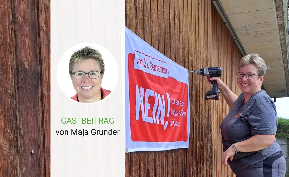 Artikel_Gastbeitrag_BauZ_GrunderNein «Abstimmungen sind ein Mannschaftssport»