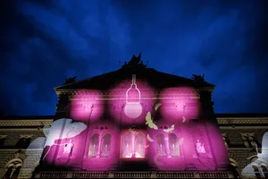 Hier schwirren an der Museumsnacht Motten über die Fassade des Bundeshauses. Im Innern entstehen regelmässig Schwärme von Vorstössen.