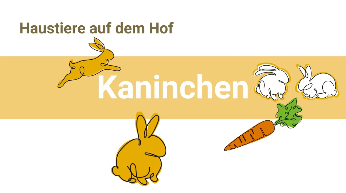 Gesellige Kaninchen wollen ins Freie