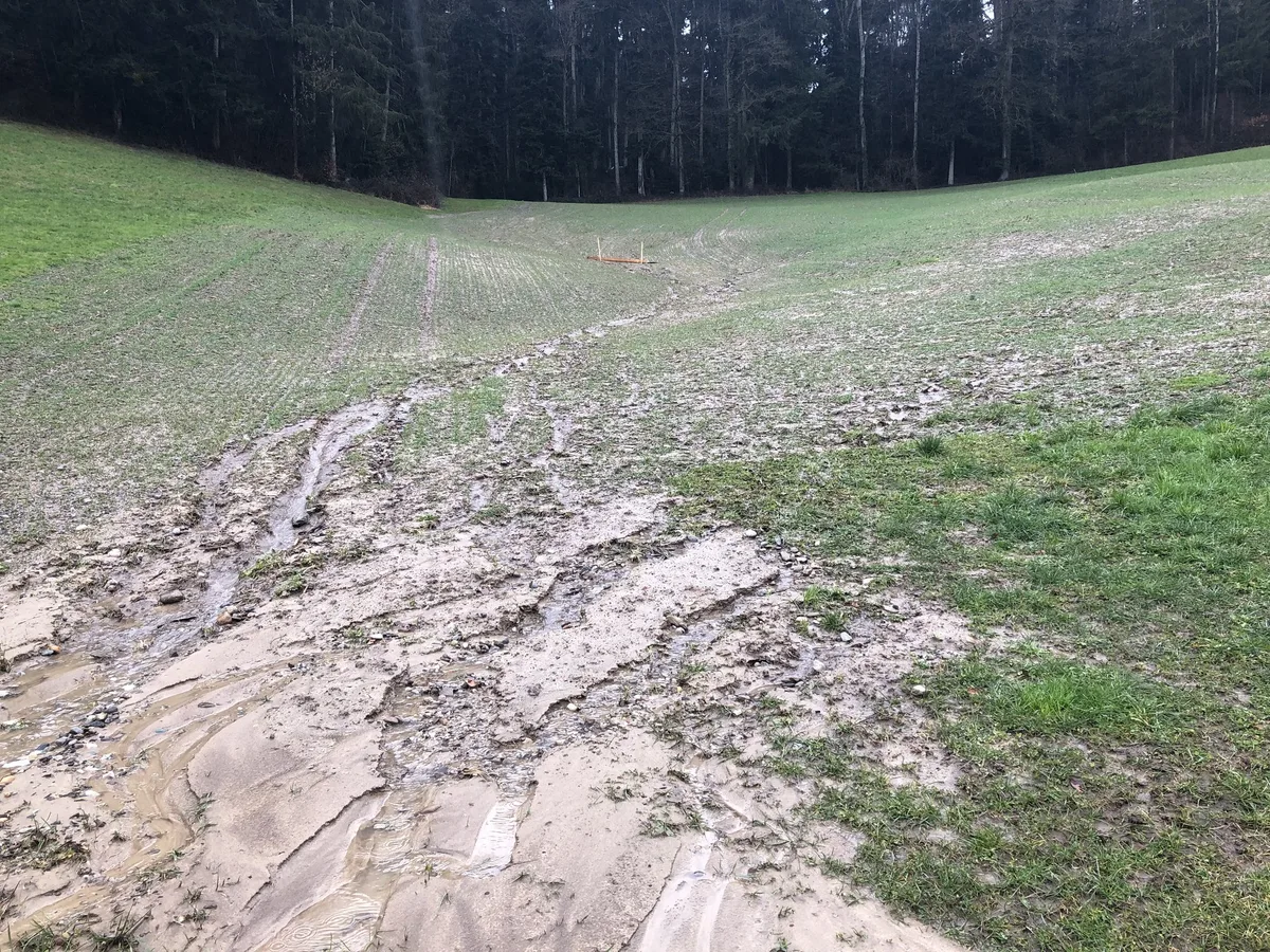 Ab 2023 ist die Bodenbedeckung zwischen Ernte und Saat Pflichtprogramm