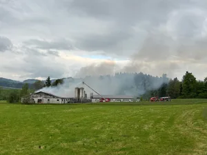 Am Mittwoch, 8. Mai 2024, ist es im Bereich Höfrig in der Gemeinde Gossau (St. Gallen) zu einem Brand in zwei Schweineställen gekommen.