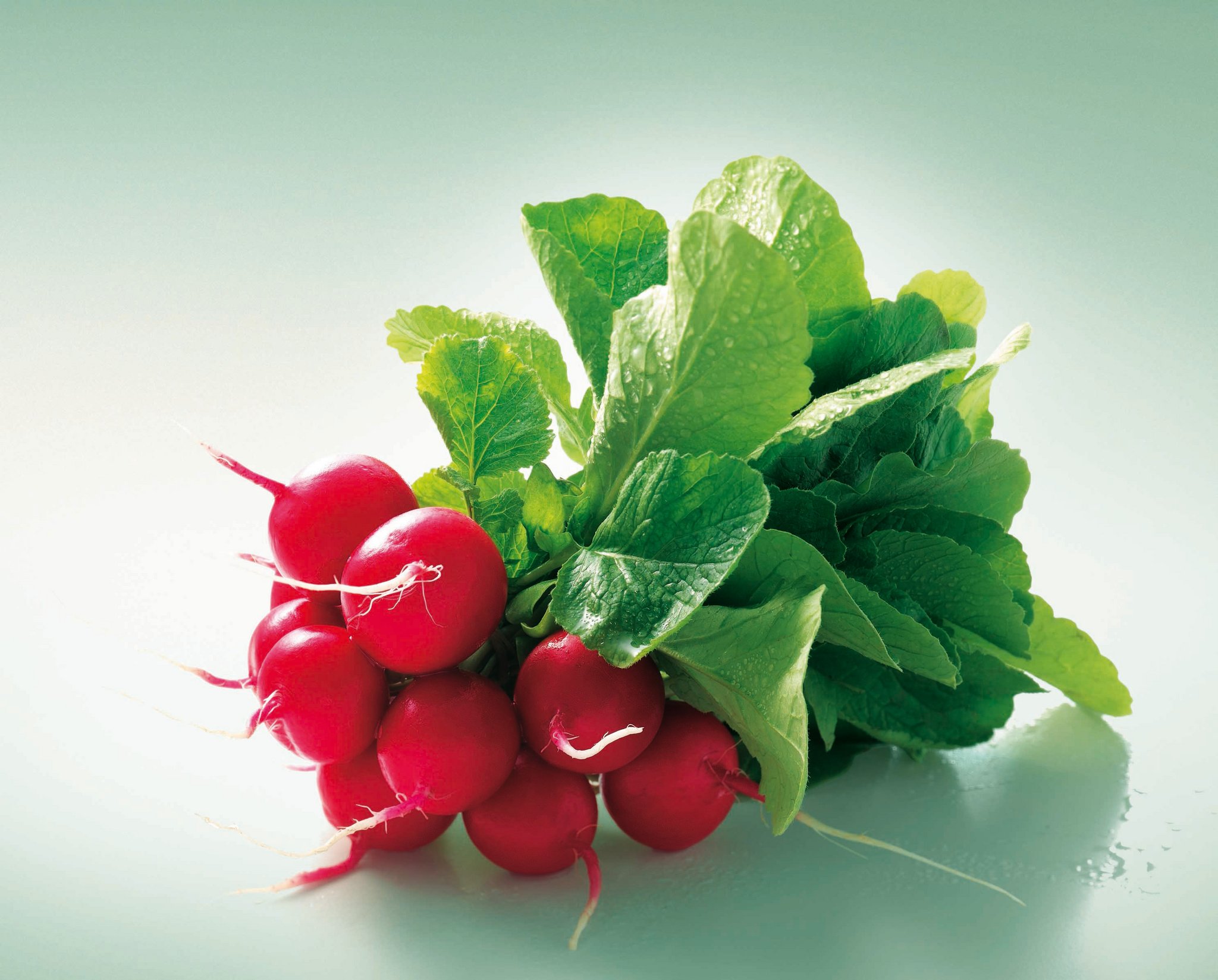 Der Frühling bringt sie uns wieder: Die energiespendenden Radieschen. (Bild: lid)