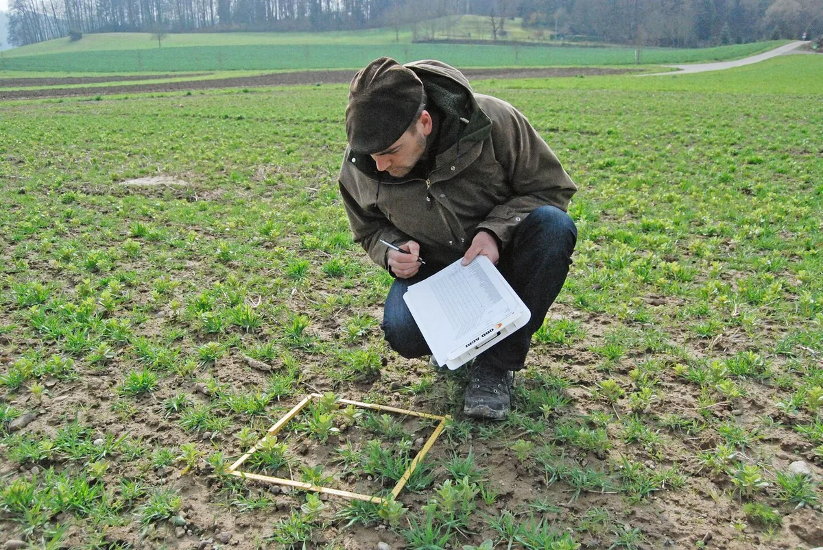 6391ba6d9c3d1eb19c87a608b7f3c2dc90b99779f4e38ef3da1daefca5f0bb73 Beim Projekt «Farmer Science» führen LandwirtInnen eigene Experimente durch und werden dabei von FiBL-Forschenden unterstützt.