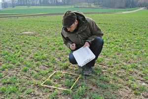Beim Projekt «Farmer Science» führen LandwirtInnen eigene Experimente durch und werden dabei von FiBL-Forschenden unterstützt.