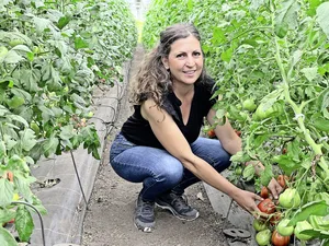 Cristina Colantuoni. in einem der Gewächshäuser des Betriebs. Hier wachsen Tomaten in Reihen.