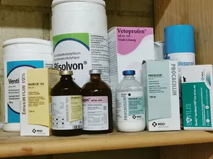 Es muss zunehmend mit Engpässen bei Medikamenten für Nutztiere gerechnet werden. Nicht nur Antibiotika sind betroffen, auch Impfstoffe fehlen.