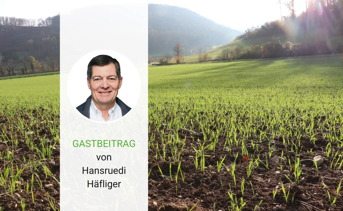 Artikel_Gastbeitrag_BauZ_Haefliger1 Klimaschutz braucht wirkungsvolle statt ideologische Massnahmen