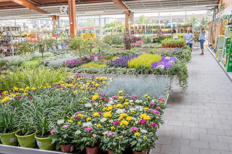 Farbiges und Gemüse für den Garten sind in der Landi jetzt, da diese Produkte wieder vor Ort gekauft werden dürfen, besonders begehrt. (Symbolbild landi)