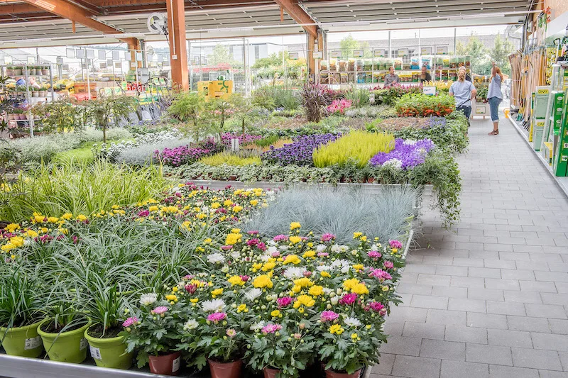 940ec59a4572de040f2cce28383f47f4878c9497 Farbiges und Gemüse für den Garten sind in der Landi jetzt, da diese Produkte wieder vor Ort gekauft werden dürfen, besonders begehrt. (Symbolbild landi)