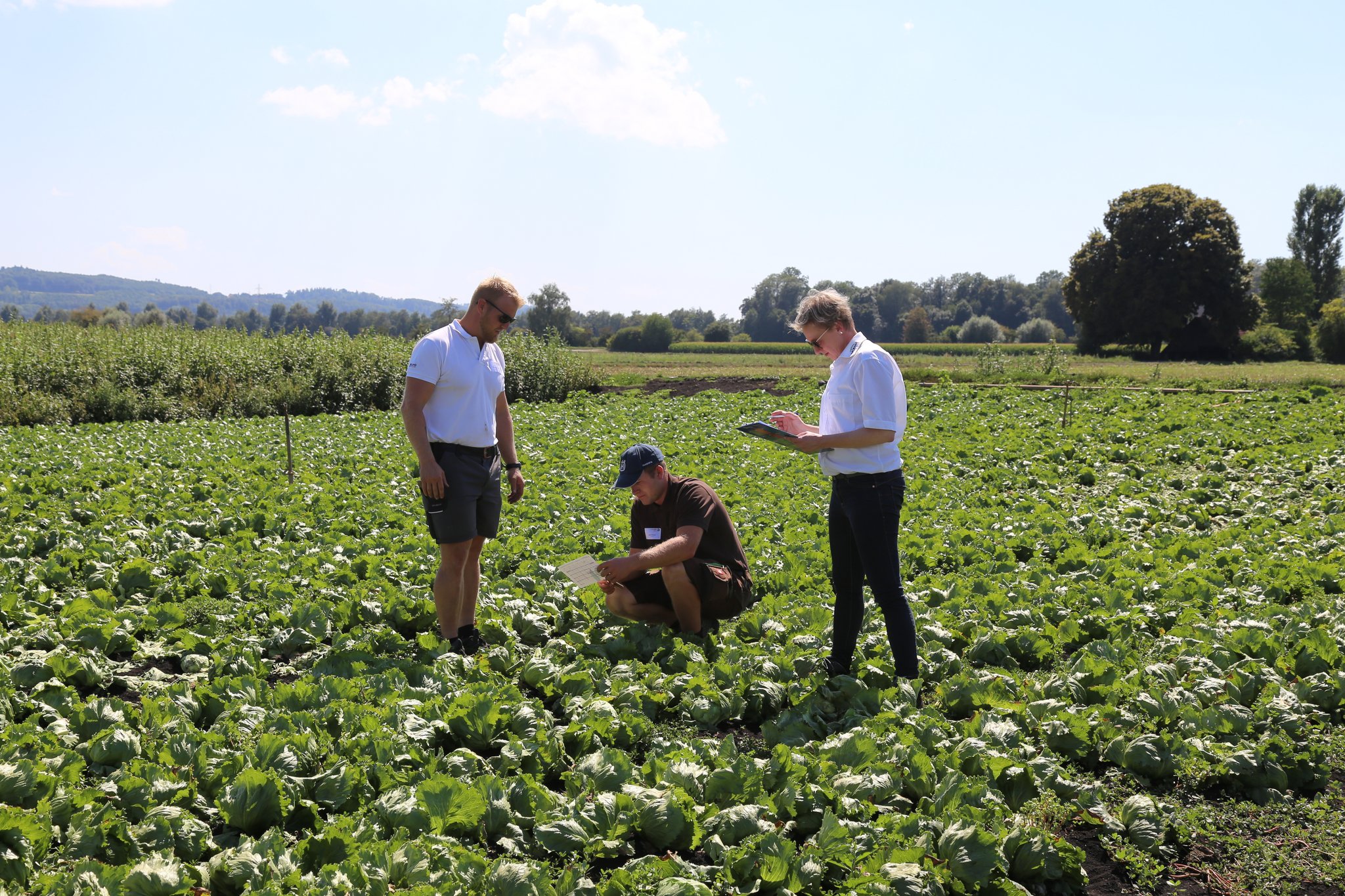 Mehr Lernende im Berufsfeld Landwirtschaft