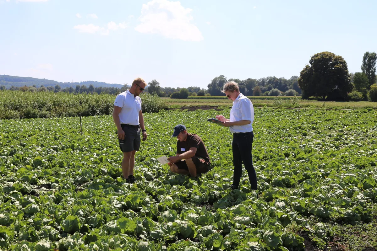SwissSkills-2022_Salaternte Mehr Lernende im Berufsfeld Landwirtschaft