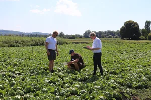 Der Grossteil der Lernenden hat sich für den Beruf Landwirt(in) entschieden.