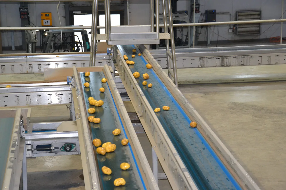Entlang der Wertschöpfungskette gibt es zwischen Terralog und IP-Suisse-Produzenten Unstimmigkeiten.
