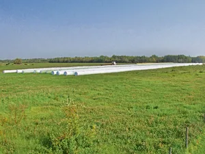Familie Ruckstuhl und die Crew haben wacker gearbeitet. Das Heuen war wegen des schlechten Wetters schwierig, aber es konnten knapp 2500 Siloballen und rund 500 Gersten-Strohballen gemacht werden.