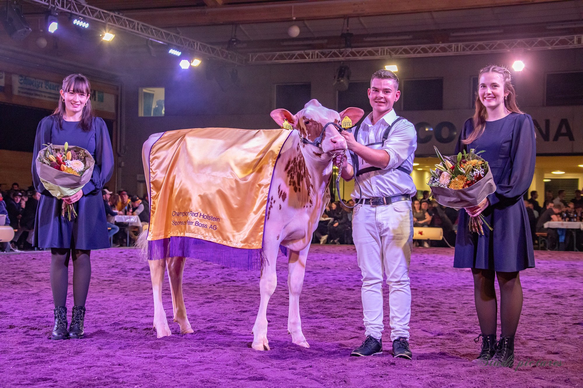 Devine wurde Suprême Champion der Aargauer Junior Expo