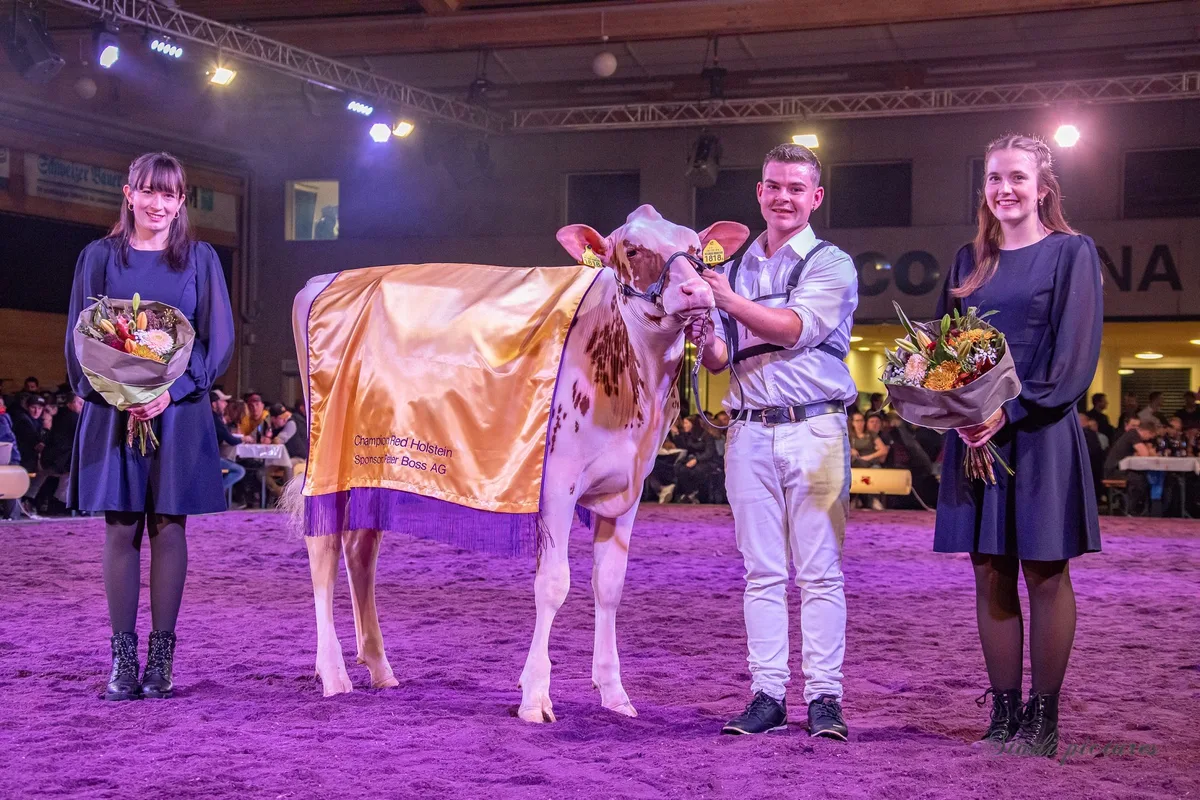 Devine wurde Suprême Champion der Aargauer Junior Expo