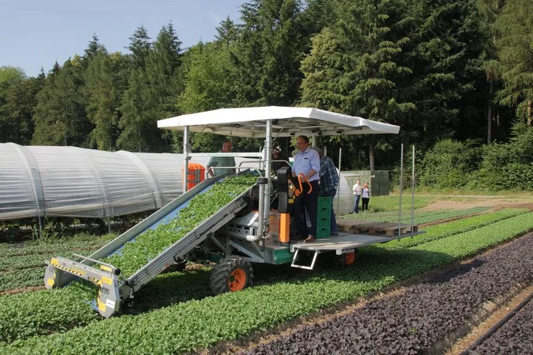 000be025fa3d6b92b70466708b8c97eedb19beee Markus Dieth am Steuer bei der Salaternte. (BVA)