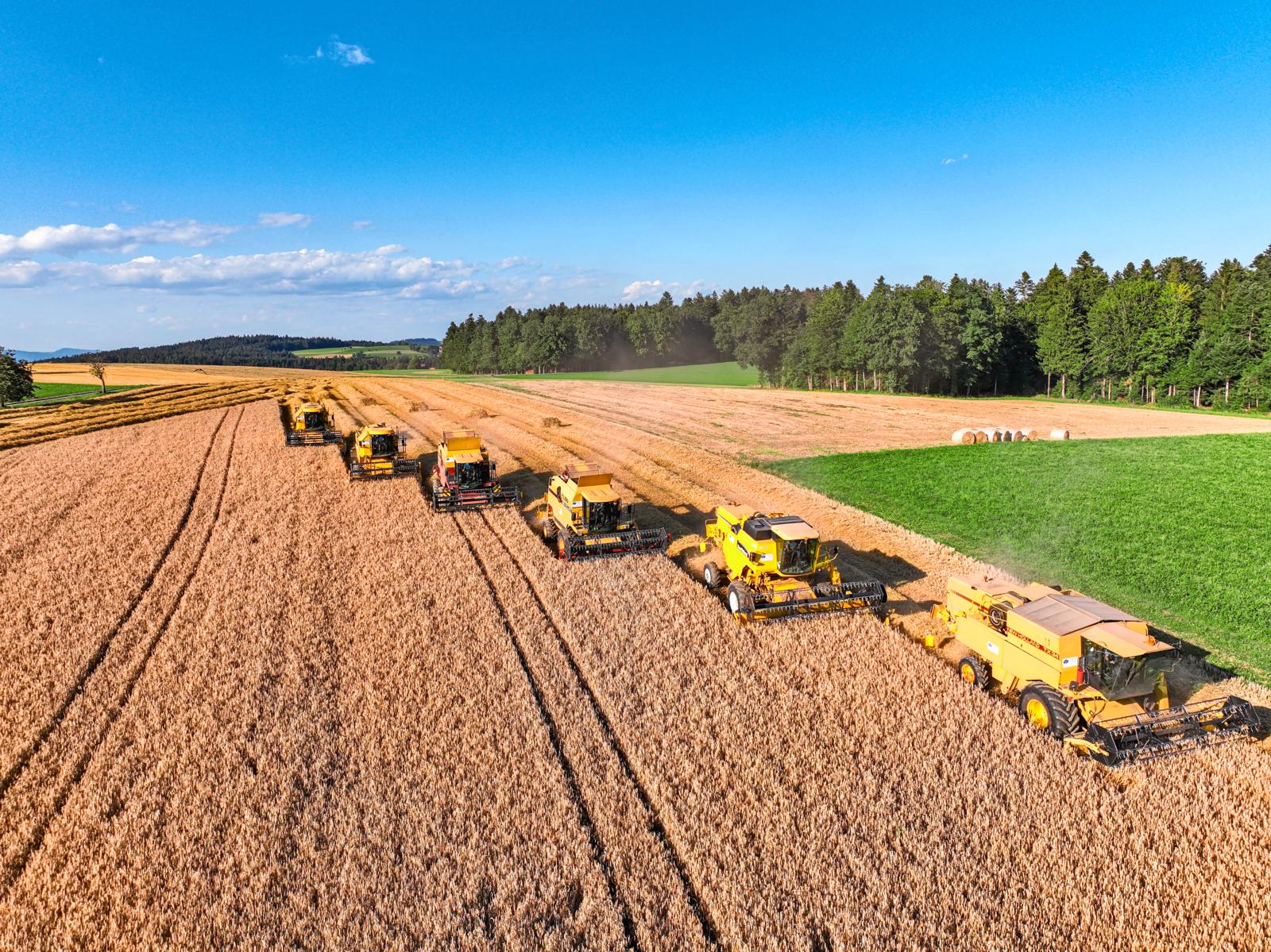 Mähdreschen ist für die meisten Landwirte ein alljährliches Highlight. Eine gute Zusammenarbeit zwischen Landwirt und Lohnunternehmer erleichtert die Planung.