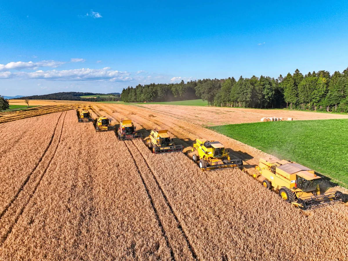 DG_PB1_Getreideernte1 Mähdreschen ist für die meisten Landwirte ein alljährliches Highlight. Eine gute Zusammenarbeit zwischen Landwirt und Lohnunternehmer erleichtert die Planung.