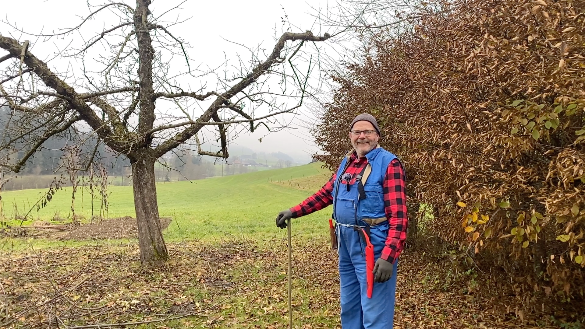 Winterschnitt bei Hochstammbäumen - so wirds gemacht