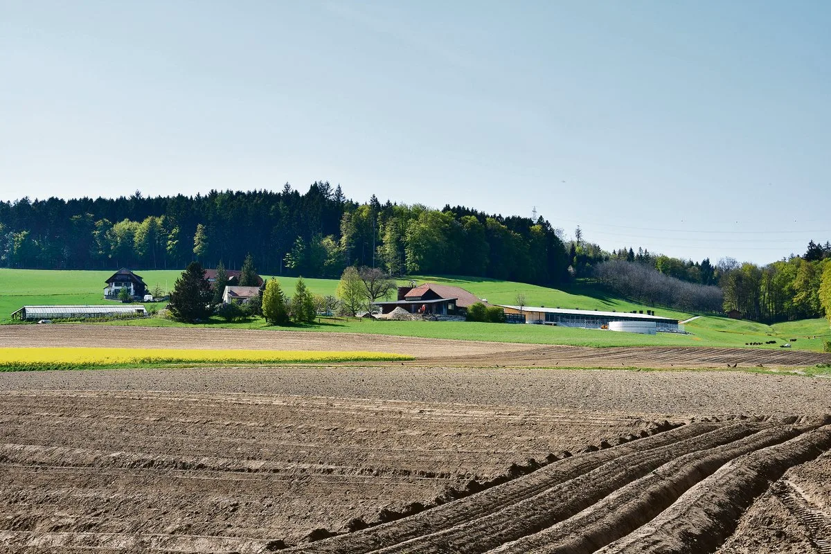 65da04a6d6fc0f30d598b09e2d1a0b42ededc885 Vor der Weiterbewirtschaftung von Zupachtland sollte beim Verpächter eine schriftliche Erklärung eingereicht werden. (Symbolbild BauZ)