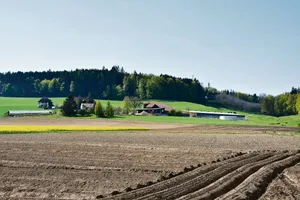 Vor der Weiterbewirtschaftung von Zupachtland sollte beim Verpächter eine schriftliche Erklärung eingereicht werden. (Symbolbild BauZ)