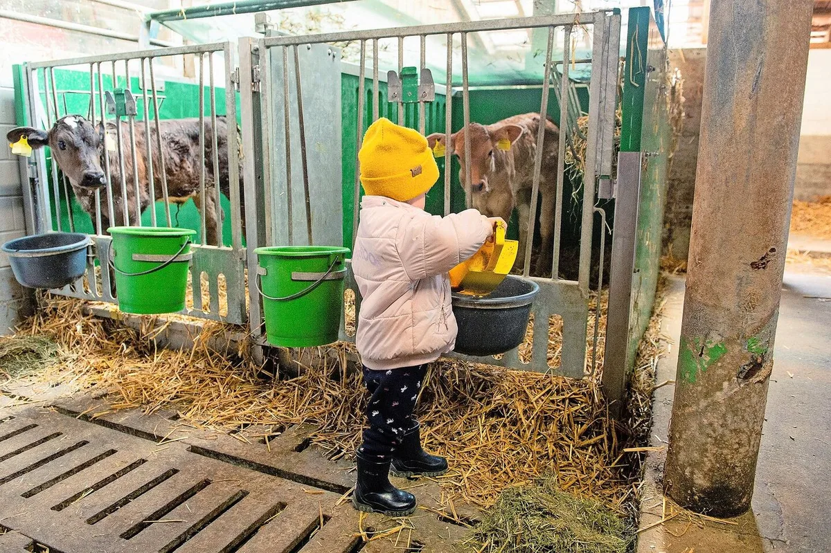 cc50b1a7164c021a19a94cd48cad4b92ccc573c35456bd50e65b75be40554be2 Alessia hilft beim Füttern der Kälber. Dank ihrer gut sichtbaren, gelben Mütze weiss ihre Mutter Manuela Fischer jeweils nach einem kurzen Blick gleich, wo sie ist.