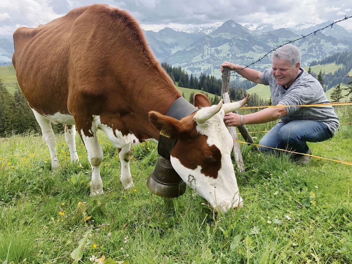 Daniela Renfer aus dem Berner Seeland fährt extra eineinhalb Stunden mit dem Auto, um «ihre» Kuh Roxana auf der Alp Schiltenegg Neuenberg zu besuchen.