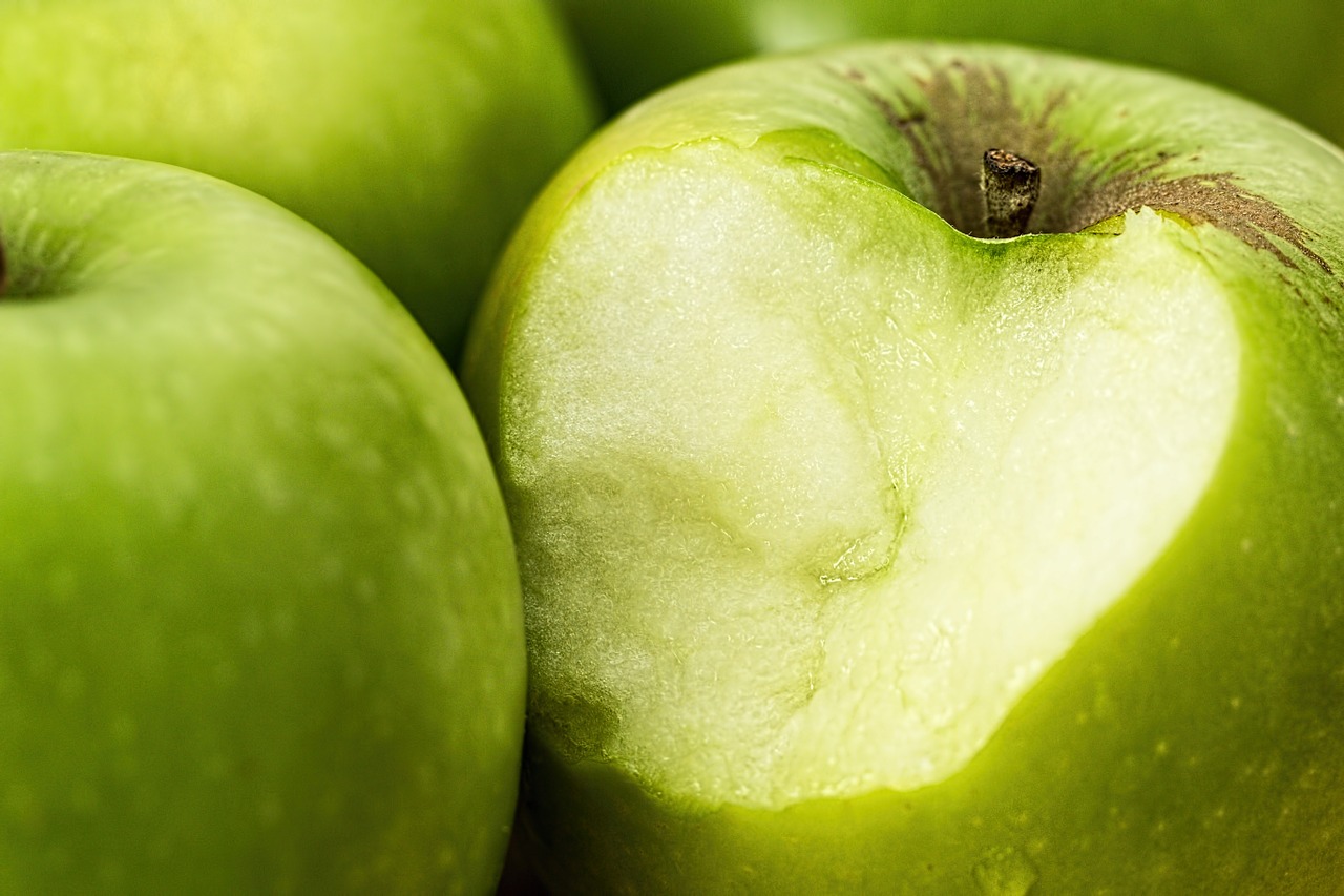 Es gebe heute zu viele unkoordinierte Projekte für mehr Nachhaltigkeit im Obstbau. Dem soll eine gemeinsame Branchenlösung entgegenwirken. (Bild stevepb  / Pixabay)