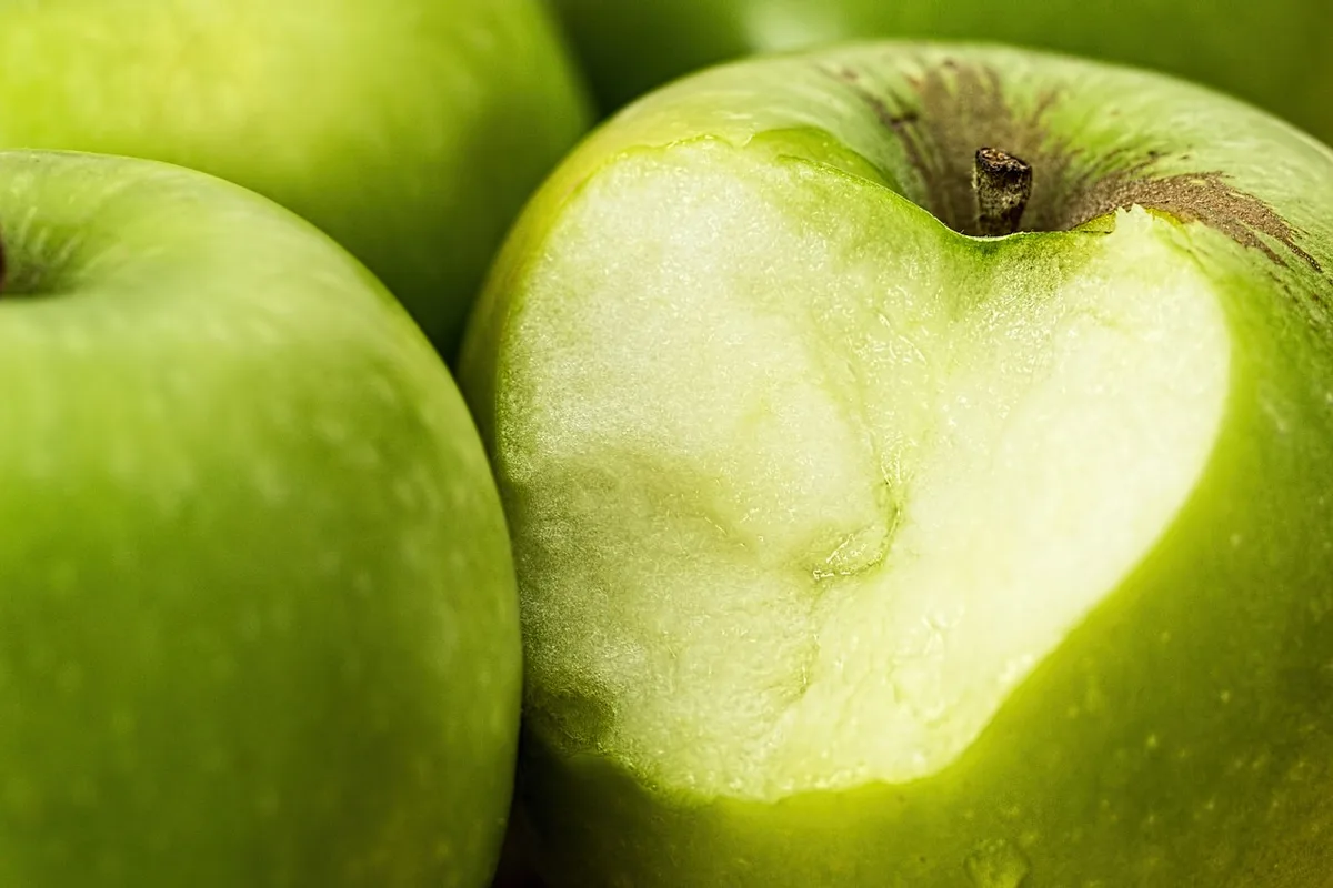 0dbf6b51cfd3e3b3b5a100d4cbceb00dc5cac389 Es gebe heute zu viele unkoordinierte Projekte für mehr Nachhaltigkeit im Obstbau. Dem soll eine gemeinsame Branchenlösung entgegenwirken. (Bild stevepb / Pixabay)