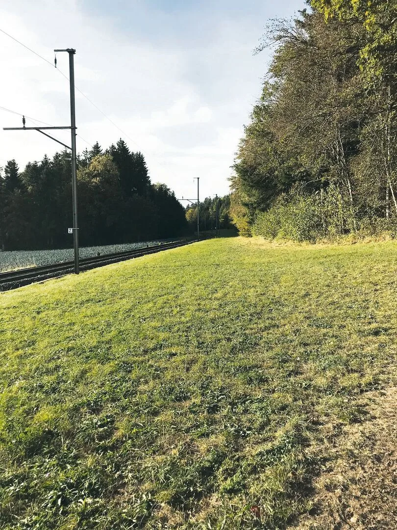 SBB will Biodiversität selbst angerechnet erhalten – und kappen den Bauern so die Beiträge