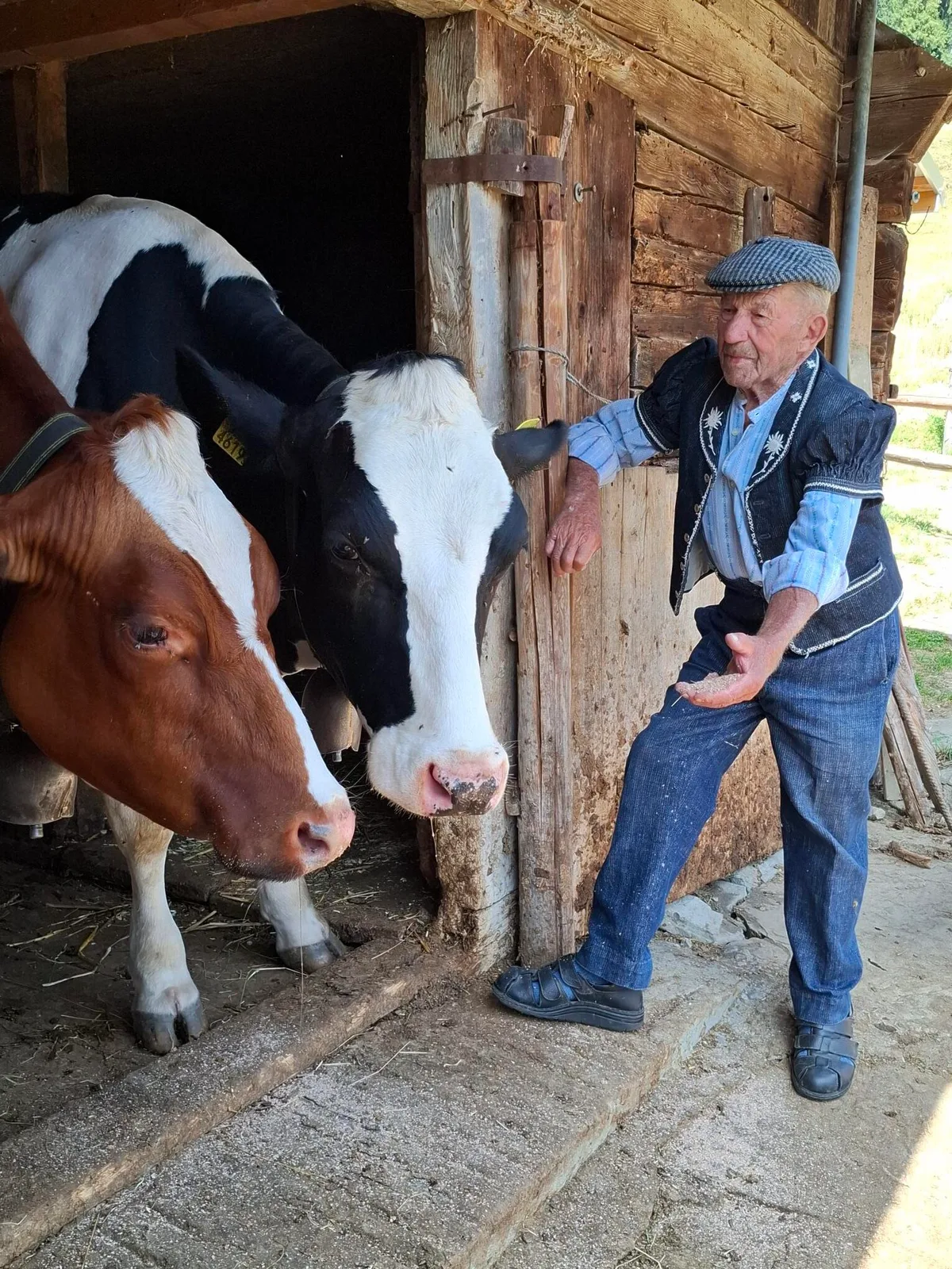 Trotz seiner 98 Jahre, geht Arnold Zurkinden immer noch z Bärg und betreut dort die Rinder. 