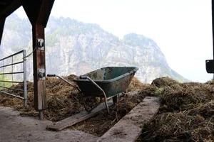 Fast 60 Prozent der Auszahlungen gingen in die Bergzone.