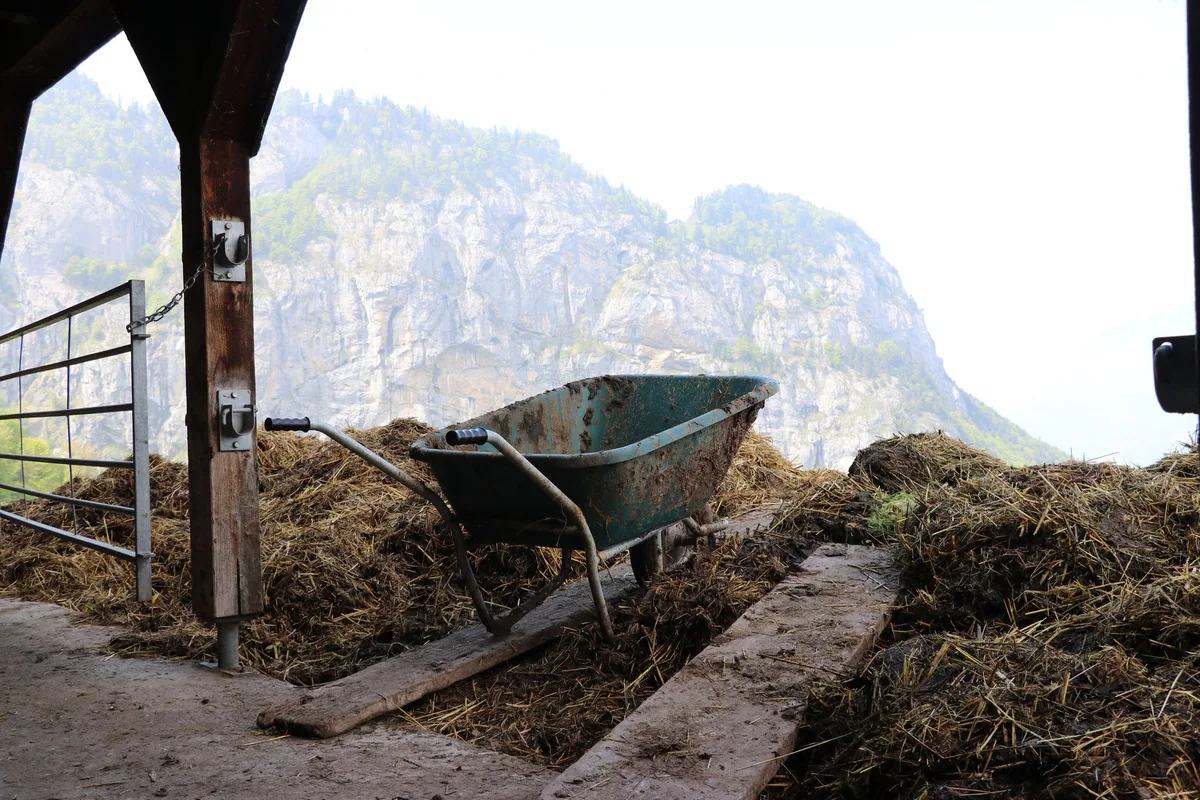 Berglandwirtschaft_UR_2 655 Millionen für Strukturverbesserungen und soziale Begleitmassnahmen