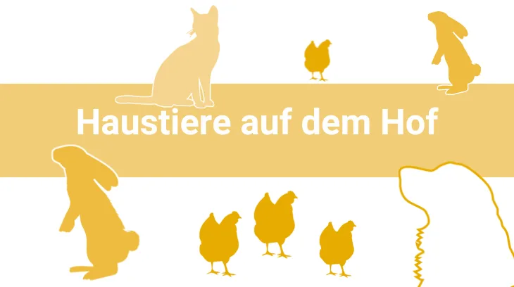 Artikelbilder Auch «Jöh-Tiere» kosten Geld