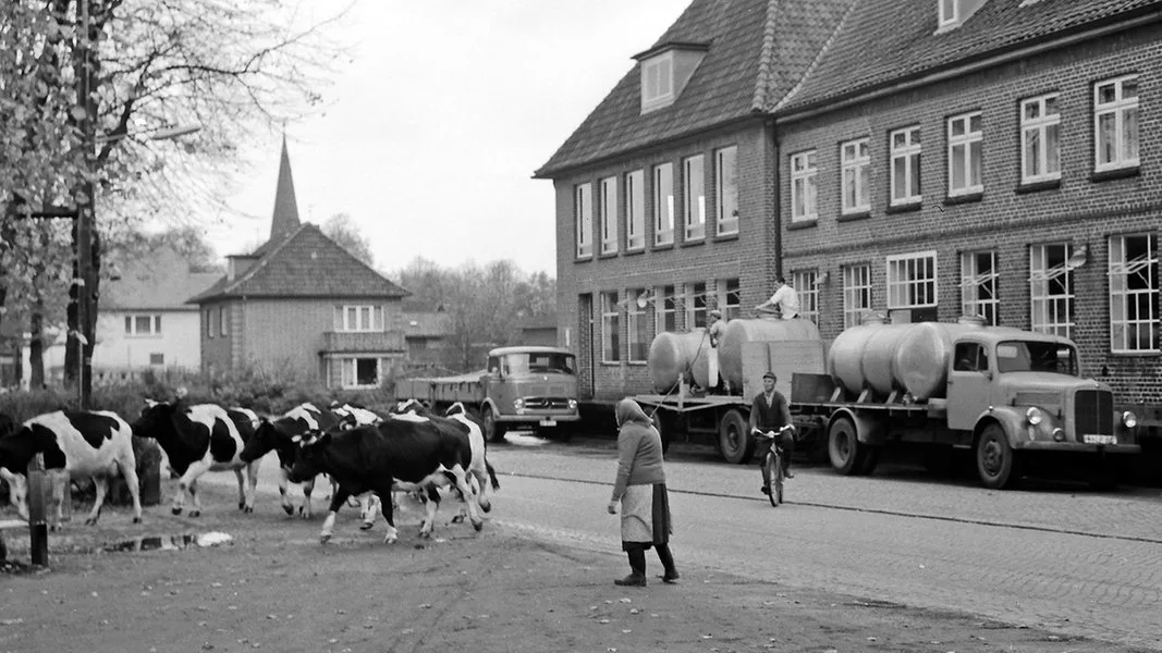 «Unsere Geschichte: Als die Kühe noch durchs Dorf liefen»