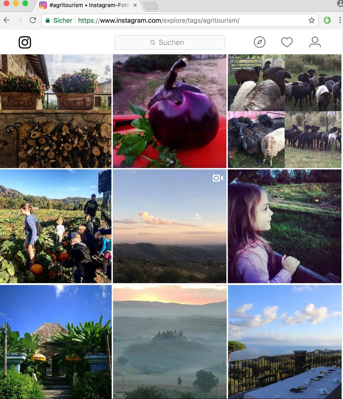 d9de6f987722aa198ea8d88b9e0ccbcd08521166 Agrotourismus-Bilder auf Instagram: Die Internetgemeinde liebt das Landleben. (Screenshot Instagram)