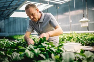 Nestlé habe bereits pflanzenwissenschaftliches Know-how in den Bereichen Kaffee und Kakao und will es nun ausweiten auf weitere Nutzpflanzen wie Hülsenfrüchte und Getreide.