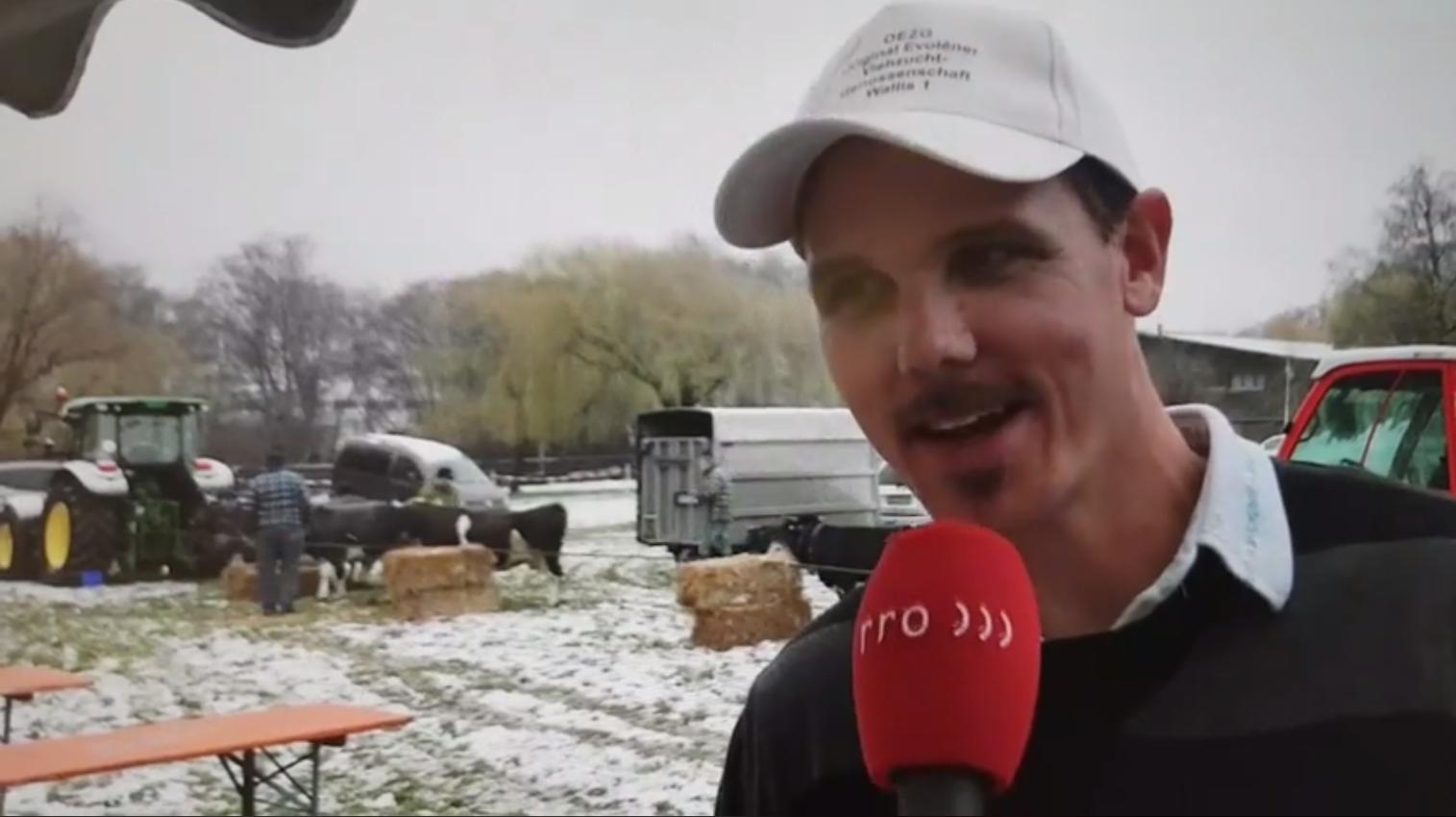 Das Oberwalliser Radio Rottu interviewt einen Viehzüchter. Währenddessen im Hintergrund... (Bild Screenshot Facebook)